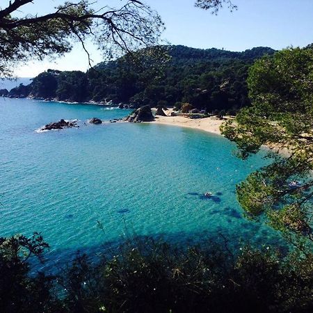 Appartements Les Pesquiers Hyeres Plage Екстер'єр фото